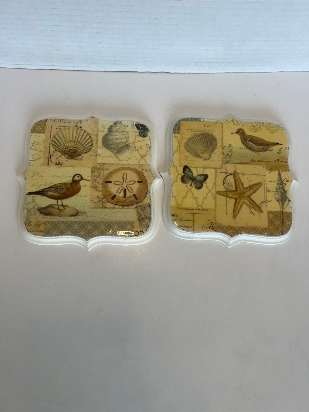 New View Gifts Coastal Wall Plaque Art Set Beach Decor Sand Dollar Bird Shell